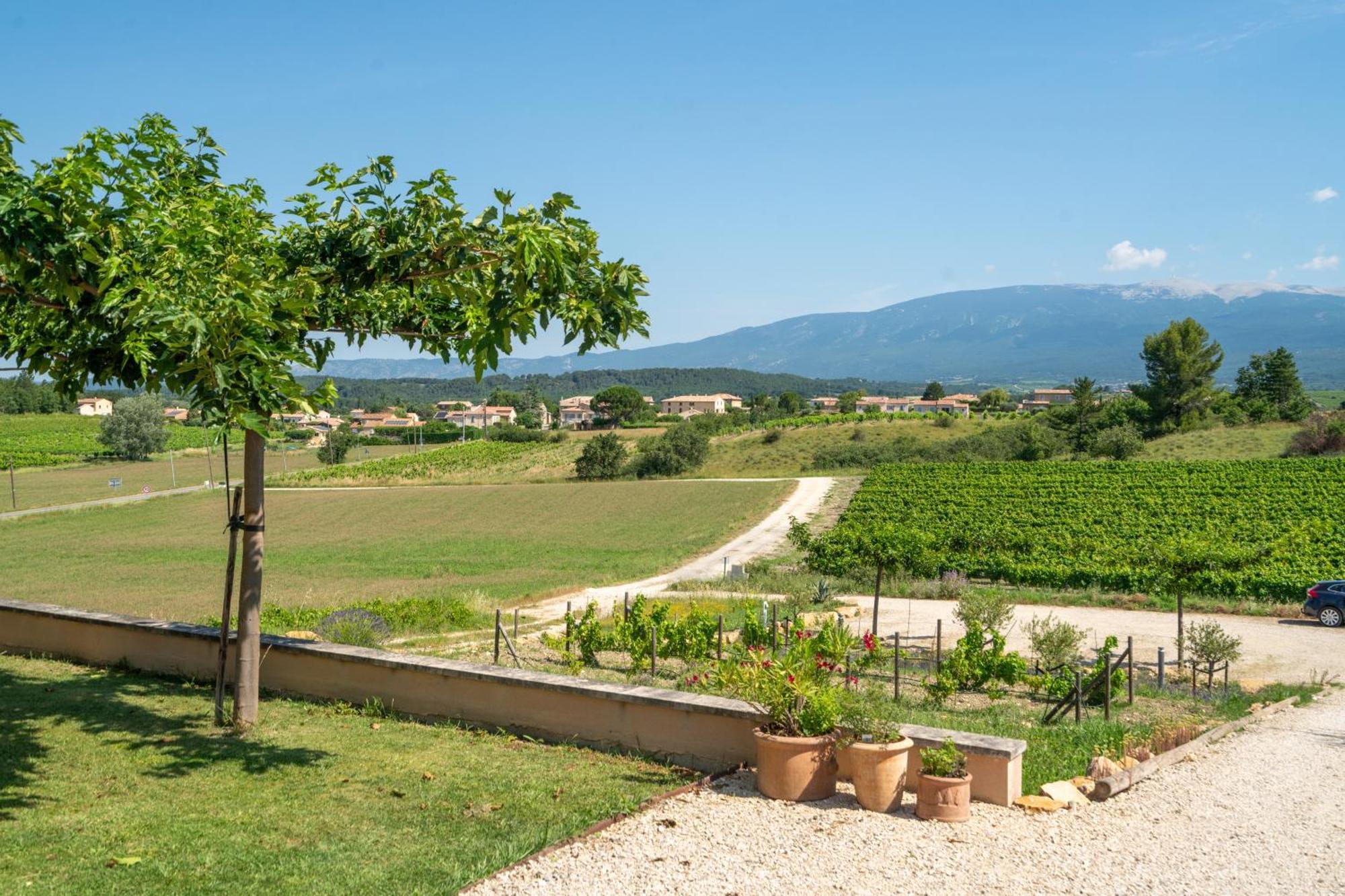 Les Terrasses De Cascavelle Villa Blauvac ภายนอก รูปภาพ